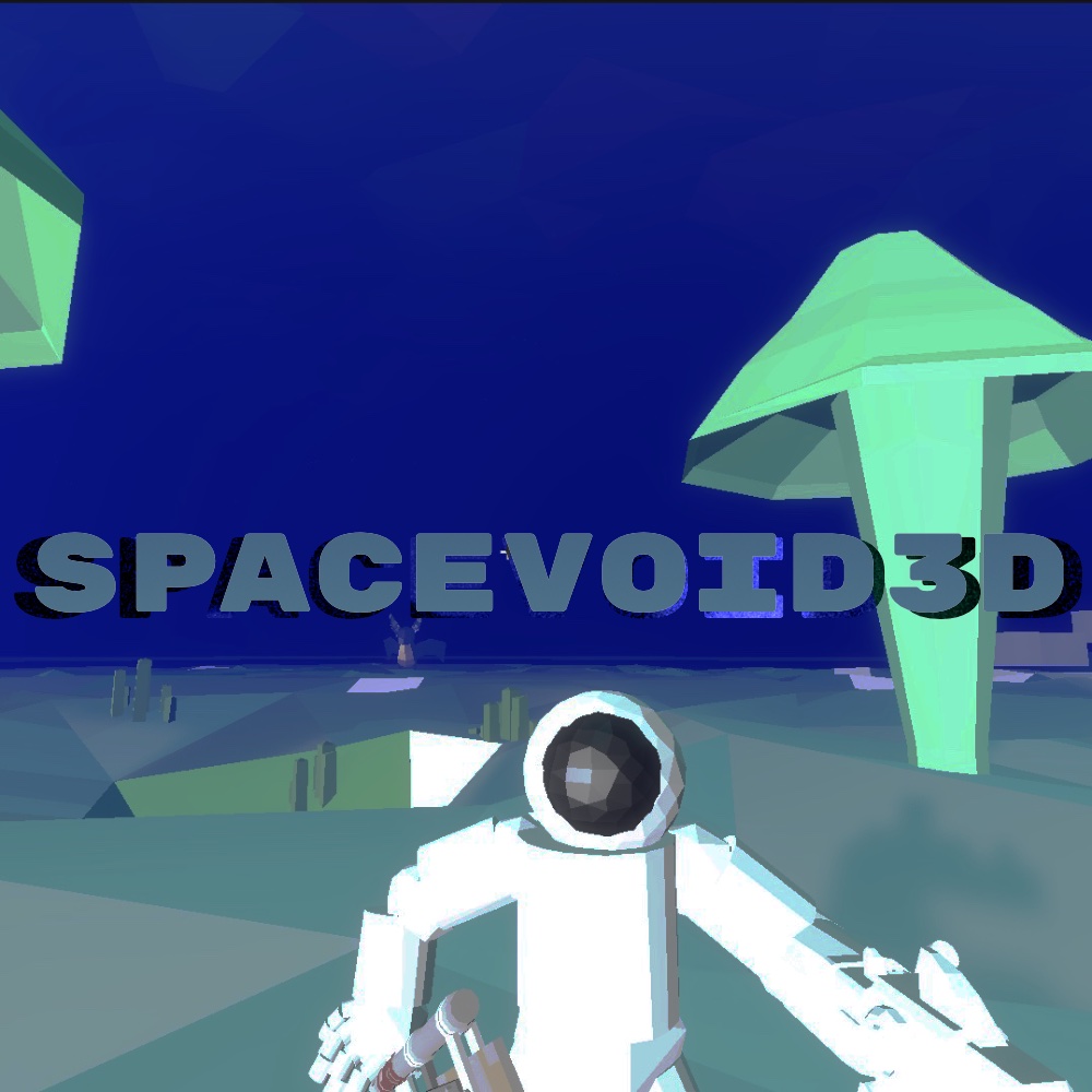 Spacevoid3D